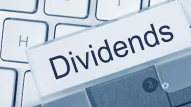 Dividend Stock: क्रिसिल का तगड़ा तोहफा! शेयरधारकों को मिलेगा 26 रुपये का डिविडेंड