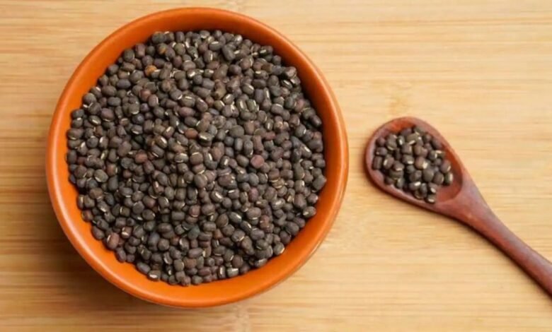 Urad Import Policy: सरकार ने उरद की शुल्क मुक्त आयात नीति को एक साल और बढ़ाया, 31 मार्च 2026 तक लागू