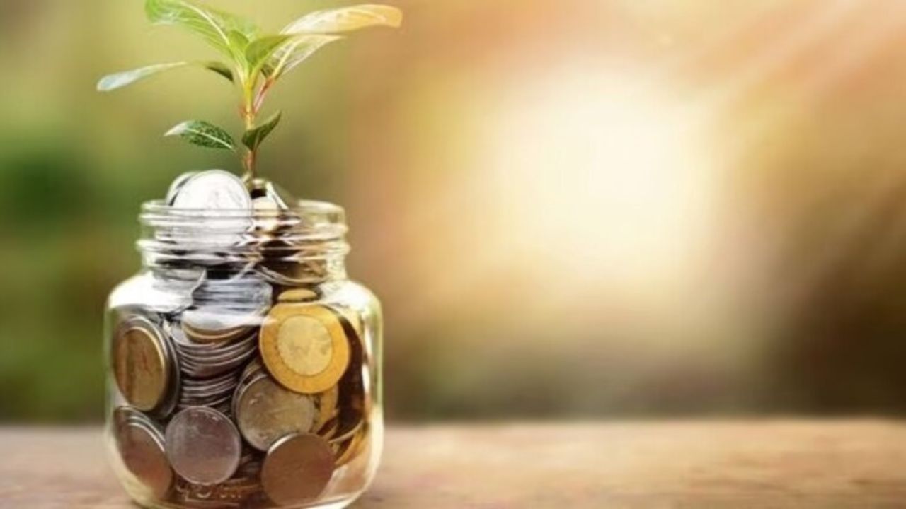 Mutual Fund: म्यूचुअल फंड में महिलाओं की एंट्री मजबूत, हर चौथा निवेशक महिला!