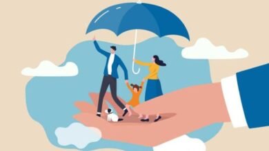 Travel Insurance: यात्रा के दौरान फ्लाइट और सामान खोने पर बीमा से कैसे मिलेगा लाभ? जानें रोचक जानकारी!