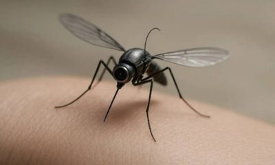 Mosquito Drone: जंग में अब दिखेगा मच्छर... लेकिन करेगा दुश्मन की बर्बादी! चीन का खुफिया ड्रोन सामने आया