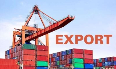 India Export: भारत का नया एक्सपोर्ट रिकॉर्ड – 825 अरब डॉलर की उड़ान तय, विश्व बाजार में छाया तिरंगा