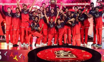 RCB IPL 2025 Won: RCB की जीत के हीरो कौन! जानिए किन खिलाड़ियों ने लिखी ट्रॉफी की कहानी