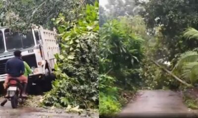 Kerala: बारिश ने मचाई तबाही! रातों-रात केरल के कई शहरों में पेड़ उखड़े और बिजली गुल