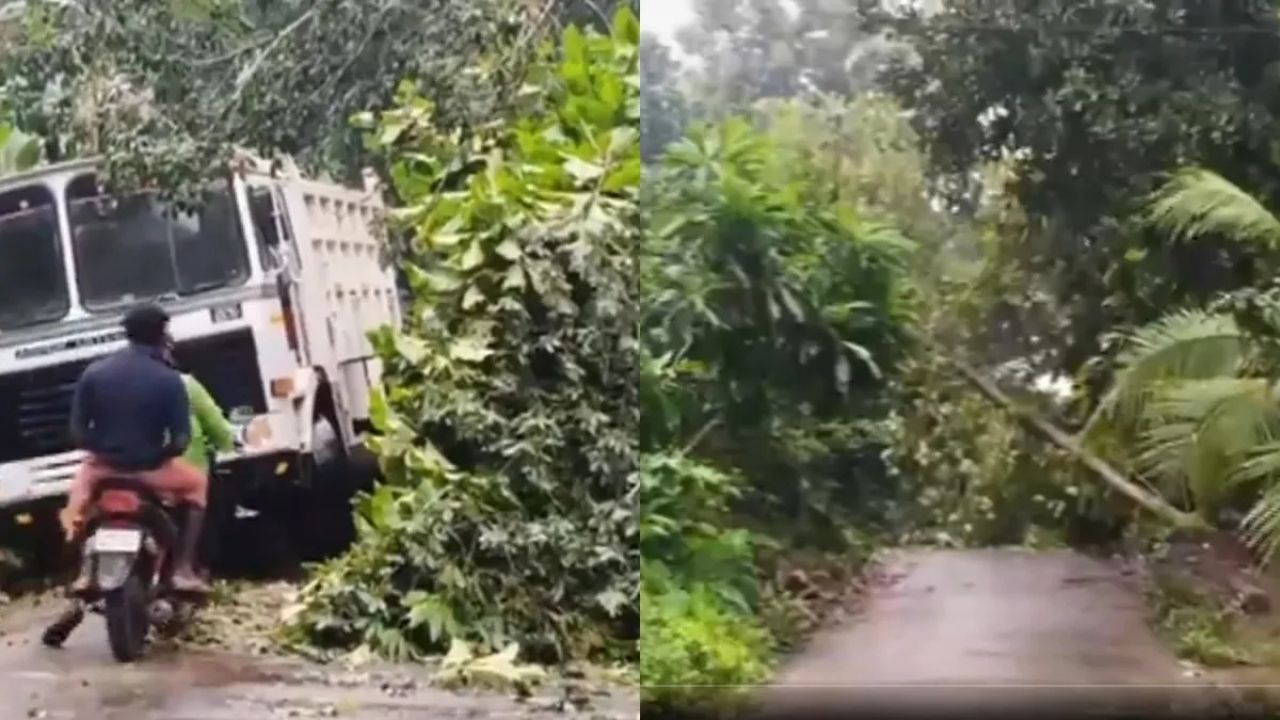 Kerala: बारिश ने मचाई तबाही! रातों-रात केरल के कई शहरों में पेड़ उखड़े और बिजली गुल