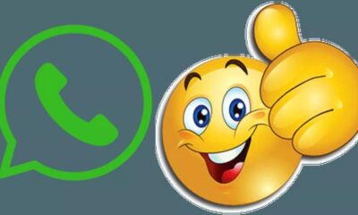 WhatsApp का नया फीचर! अब वेव इमोजी से चैट की होगी शुरुआत