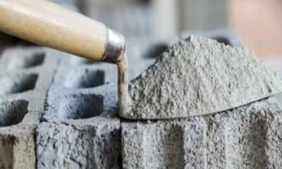 JK Cement Share Dividend: शेयरधारकों के लिए खुशखबरी, JK Cement ने ₹15 प्रति शेयर का फाइनल डिविडेंड किया घोषित