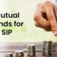 Mutual Fund Schemes: छोटी SIP से करोड़ों की पूंजी बनाने वाली स्कीम! इस म्यूचुअल फंड स्कीम ने कर दिया निवेशकों को मालामाल