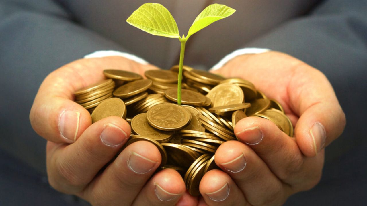 Mutual Fund Schemes: छोटी SIP से करोड़ों की पूंजी बनाने वाली स्कीम! इस म्यूचुअल फंड स्कीम ने कर दिया निवेशकों को मालामाल