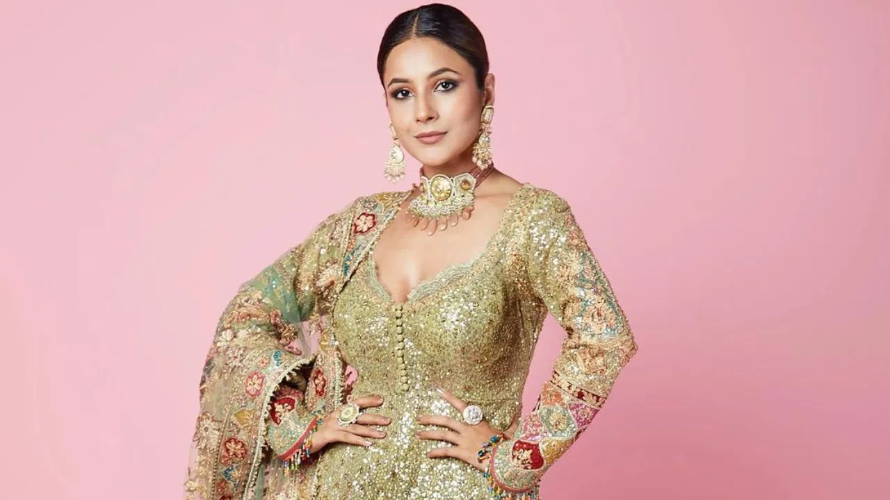 पंजाब बाढ़ संकट! Shehnaaz Gill की इक कुड़ी की रिलीज़ डेट टली, अब 31 अक्टूबर को होगी रिलीज़