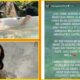 Kajal Aggarwal की मौत की खबर ने मचाया हंगामा, अब सामने आई चौंकाने वाली सच्चाई