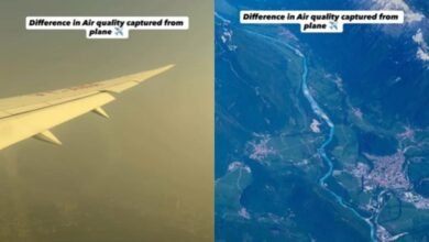 विएना से दिल्ली तक का वीडियो वायरल, साफ आसमान से जहरीली धुंध तक का डरावना सफर