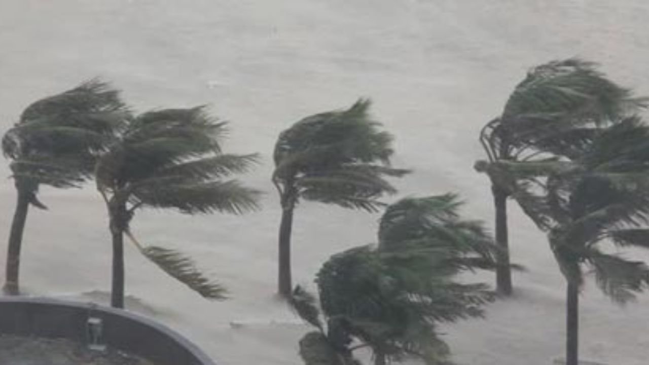 Climate Risk Index: खराब मौसम ने भारत को झटका दिया, जलवायु संकट में मौतों के मामले में देश बना विश्व में नंबर 9