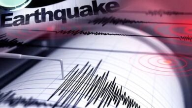 लेह और चीन में भूकंप के झटके, जानिए Richter Scale पर भूकंप की तीव्रता और खतरे की जानकारी