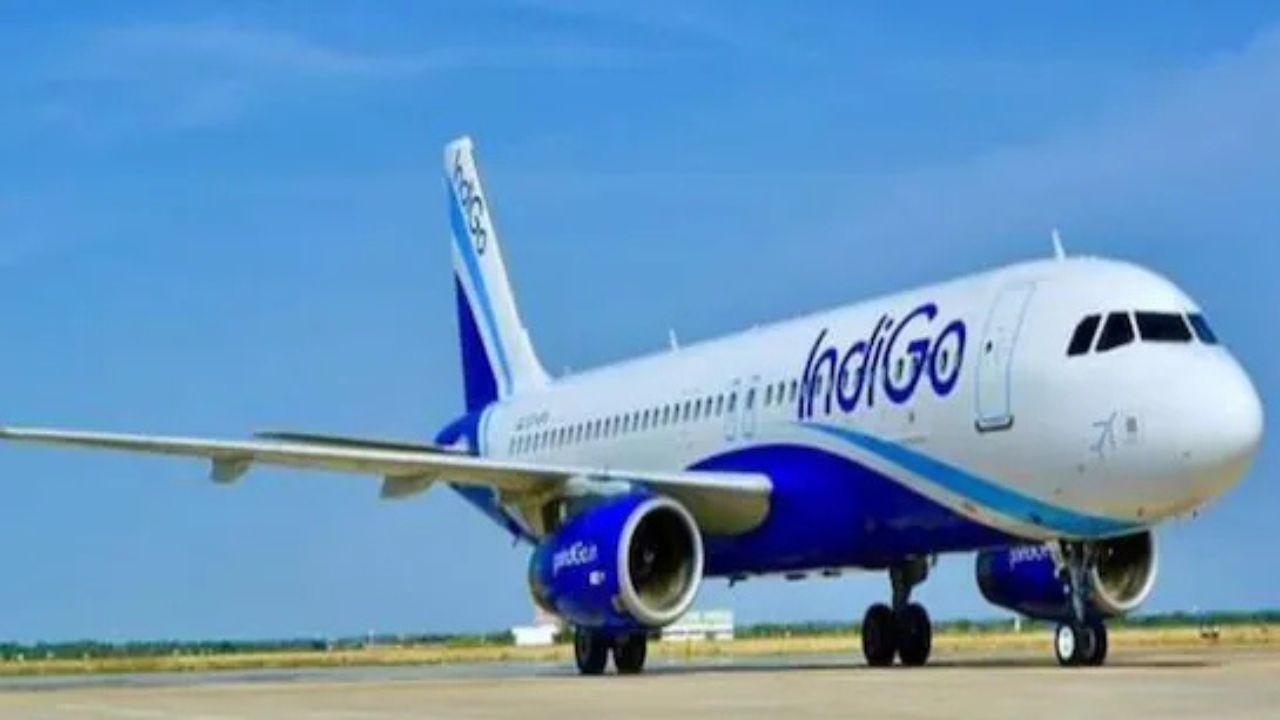विमान में पक्षी के टकराने के कारण Indigo Airlines की उड़ान हुई डैमेज, लेकिन दुर्घटना टली, सभी सुरक्षित