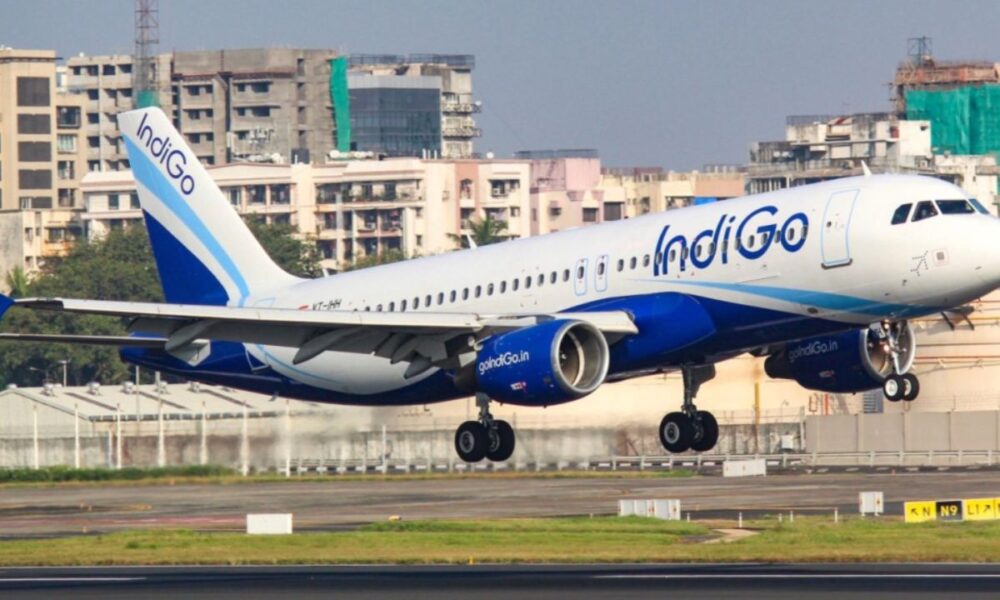 विमान में पक्षी के टकराने के कारण Indigo Airlines की उड़ान हुई डैमेज, लेकिन दुर्घटना टली, सभी सुरक्षित