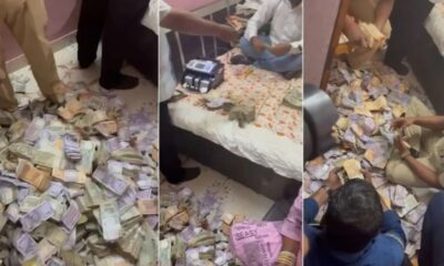 Illegal liquor case: पुणे पुलिस ने ड्रग्स और नशे के खिलाफ तेज़ कार्रवाई, अवैध नेटवर्क का पता लगाने में जुटी