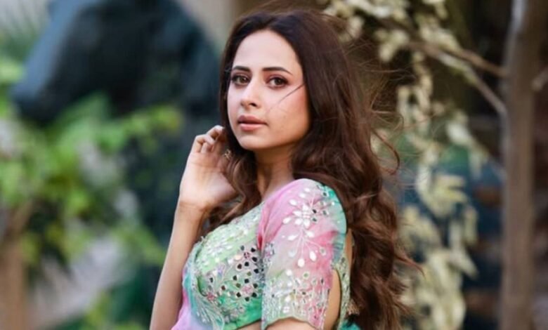 पंजाबी फिल्म इंडस्ट्री का उभार, सरगुन मेहता ने बताया बदलाव का सफर