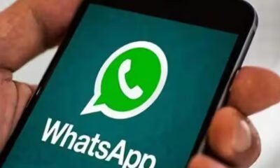 WhatsApp अपडेट में स्टिकर खोजने का समय हुआ खत्म, टाइप करते ही विकल्प स्क्रीन पर दिखेंगे