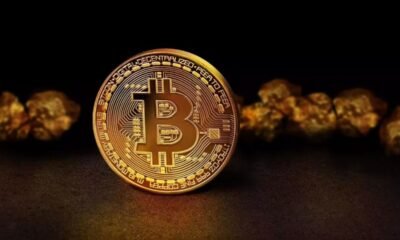 क्रिप्टोकरेंसी में आज का बाजार अपडेट: डोजकॉइन और सोलाना में उतार-चढ़ाव