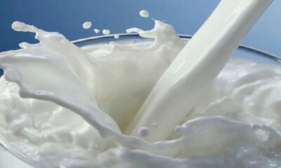 राजमहेंद्रवरम अस्पताल में भर्ती मरीजों के खून में विषाक्त पदार्थों के गंभीर संकेत मिले