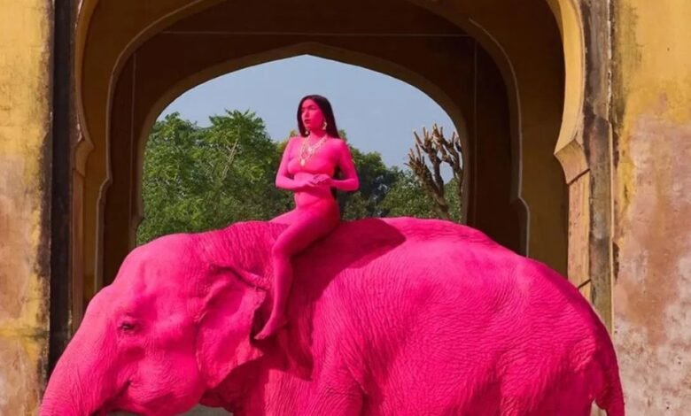 जयपुर में एक विदेशी फोटोशूट को लेकर बड़ा विवाद खड़ा हो गया है। मामला एक 65 वर्षीय हथिनी “चंचल” से जुड़ा है, जिसे गुलाबी रंग में रंगकर फोटोशूट किया गया था। अब पिछले महीने उसकी मौत के बाद यह सवाल उठने लगा है कि क्या इस रंगाई का उसकी मौत से कोई संबंध है। इस फोटोशूट को रूसी फोटोग्राफर Julia Buruleva ने अंजाम दिया था। उन्होंने एक मॉडल को हथिनी पर बैठाकर अनोखे अंदाज में तस्वीरें खींचीं, जो सोशल मीडिया पर वायरल हो गईं। जहां कुछ लोगों ने तस्वीरों की खूबसूरती की तारीफ की, वहीं बड़ी संख्या में यूजर्स और पर्यावरण कार्यकर्ताओं ने इसे जानवरों के प्रति क्रूरता बताया। हथिनी “चंचल” की मौत के बाद विवाद और गहरा गया। हालांकि, Jaipur Elephant Association और हाथी गांव विकास समिति ने स्पष्ट किया है कि उसकी मौत प्राकृतिक कारणों से हुई है। समिति के अध्यक्ष बल्लू खान के अनुसार, फोटोशूट में इस्तेमाल किया गया रंग गुलाल जैसा ऑर्गेनिक था, जिसे कुछ समय बाद हटा दिया गया था और इससे जानवर को कोई नुकसान नहीं हुआ। इसके बावजूद, कई लोगों ने हाथियों की संवेदनशील त्वचा का हवाला देते हुए इस तरह के प्रयोगों पर सवाल उठाए हैं। सोशल मीडिया पर यूजर्स का कहना है कि सिर्फ तस्वीरों को आकर्षक बनाने के लिए जानवरों को इस तरह रंगना गलत है, भले ही रंग ऑर्गेनिक ही क्यों न हो। कुछ लोगों ने सुझाव दिया कि ऐसे क्रिएटिव प्रोजेक्ट्स के लिए AI या डिजिटल एडिटिंग का इस्तेमाल किया जा सकता था। फोटोग्राफर जूलिया बुरुलेव ने सफाई देते हुए कहा कि उन्होंने राजस्थान की रंगीन संस्कृति से प्रेरित होकर यह कॉन्सेप्ट तैयार किया था। उनके मुताबिक, भारत में त्योहारों और आयोजनों में हाथियों को सजाने की परंपरा रही है, और इसी को ध्यान में रखते हुए उन्होंने यह शूट किया। उन्होंने यह भी दावा किया कि इस्तेमाल किया गया रंग पूरी तरह सुरक्षित और प्राकृतिक था। फिलहाल, यह मामला जानवरों के अधिकार, उनकी सुरक्षा और फोटोशूट जैसे व्यावसायिक उपयोगों को लेकर नई बहस छेड़ रहा है। सवाल यह है कि क्या परंपरा और कला के नाम पर जानवरों के साथ इस तरह का व्यवहार उचित है, या इसके लिए सख्त नियमों की जरूरत है।