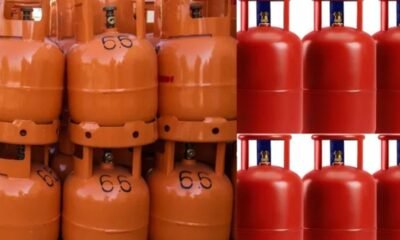 LPG संकट के बीच सरकार का बड़ा फैसला मिनी सिलेंडर से कैसे मिलेगी राहत