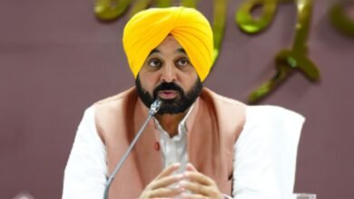 वायरल वीडियो विवाद के बीच CM मान का पलटवार, बोले- मुझे बदनाम करने की साजिश
