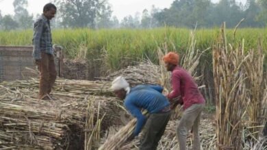 बिहार गन्ना उद्योग प्रोत्साहन नीति-2026: 1 रुपये में जमीन, 100 करोड़ तक अनुदान का ऐलान
