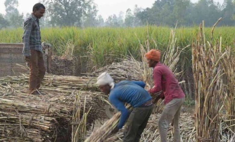 बिहार गन्ना उद्योग प्रोत्साहन नीति-2026: 1 रुपये में जमीन, 100 करोड़ तक अनुदान का ऐलान
