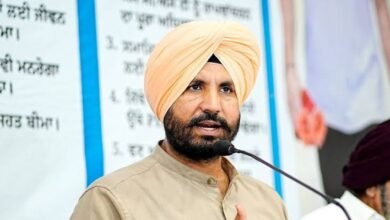 भगवंत मान विवाद पर राजा वड़िंग का हमला, AAP पर लगाए झूठ के आरोप