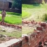 बरेली में दरोगा का वीडियो वायरल, निर्माणाधीन दीवार गिराते दिखे; पुलिस पर उठे सवाल