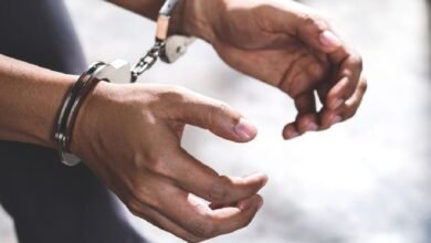 रीवा जोन में कथित MD ड्रग्स फैक्ट्री पर पुलिस की बड़ी कार्रवाई, करोड़ों का संदिग्ध माल जब्त