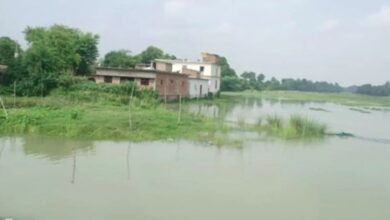 सूआ का पानी ओवरफ्लो होने से किसानों की फसल बर्बाद, मुआवजे की मांग तेज