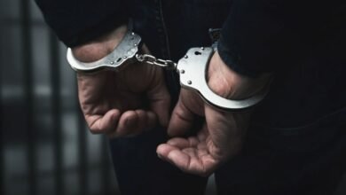 दिल्ली में ड्यूटी कर रही महिला BLO से दुर्व्यवहार, SIR अभियान के दौरान 4 आरोपी गिरफ्तार