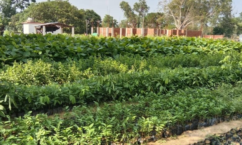 चंदौसी में सपा का PDA सम्मेलन, 2027 चुनाव के लिए बूथ स्तर तक संगठन मजबूत करने का आह्वान