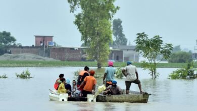 मानसून से पहले पंजाब में बाढ़ तैयारियों का भाजपा करेगी जमीनी आकलन, वरिष्ठ नेताओं को मिली जिम्मेदारी