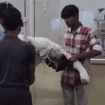 ईद मिलादुन्नबी की तैयारी के बीच मऊगंज में सनसनीखेज वारदात, पेट्रोल डालकर आग लगाने से चार लोग झुलसे