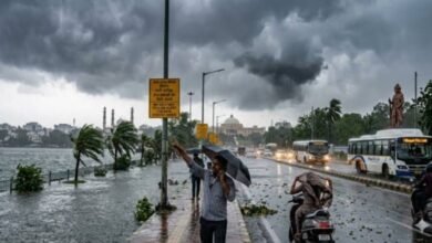 MP Weather: मध्यप्रदेश में फिर एक्टिव हुआ मानसून, 11 जिलों में तेज बारिश का अलर्ट