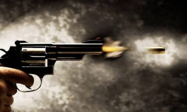 चंडीगढ़ में कोर्ट के आदेश के दौरान चली गोली, पुलिस के सामने महिला पर वकील ने किया हमला