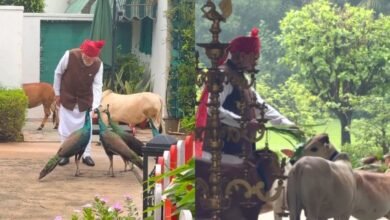 PM मोदी की सुबह की खास दिनचर्या कैमरे में कैद, मोरों को दाना और गायों को चारा खिलाते दिखे प्रधानमंत्री