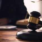 पेड़ों की कटाई पर MP हाईकोर्ट का अनोखा फैसला, जनहित याचिकाकर्ताओं को लगाने होंगे 25-25 फलदार पेड़