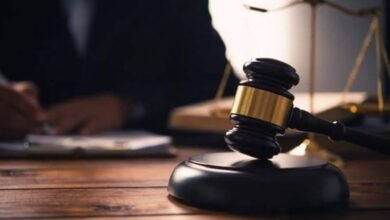 पेड़ों की कटाई पर MP हाईकोर्ट का अनोखा फैसला, जनहित याचिकाकर्ताओं को लगाने होंगे 25-25 फलदार पेड़