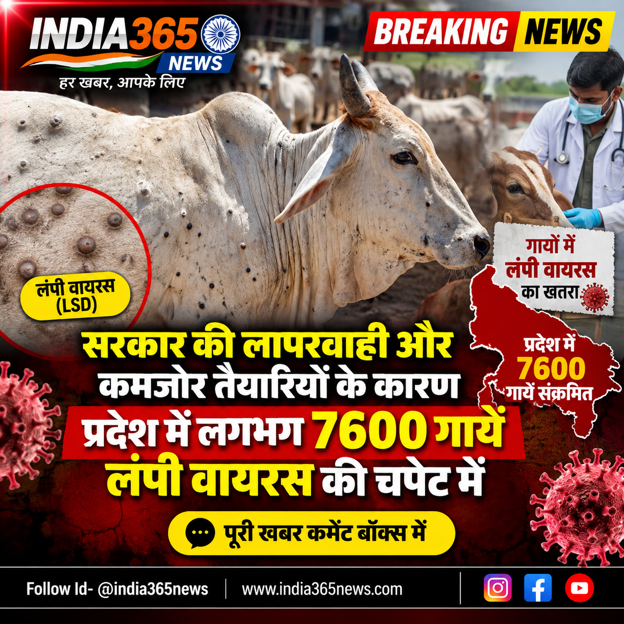सरकार की लापरवाही और कमजोर तैयारियों के कारण प्रदेश में लगभग 7600 गायें लंपी वायरस की चपेट में