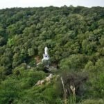 अरावली के जंगल और सुनसान खेत बने थे व्हाइट कालर टेरर मॉड्यूल के लिए हथियारों की टेस्टिंग का अड्डा