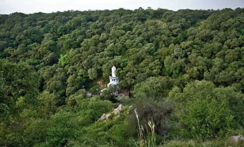 अरावली के जंगल और सुनसान खेत बने थे व्हाइट कालर टेरर मॉड्यूल के लिए हथियारों की टेस्टिंग का अड्डा