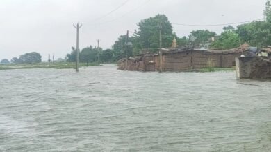 पटना में गंगा का रौद्र रूप, दानापुर दियारा की 6 पंचायतों में फैला बाढ़ का पानी; नाव बनी सहारा