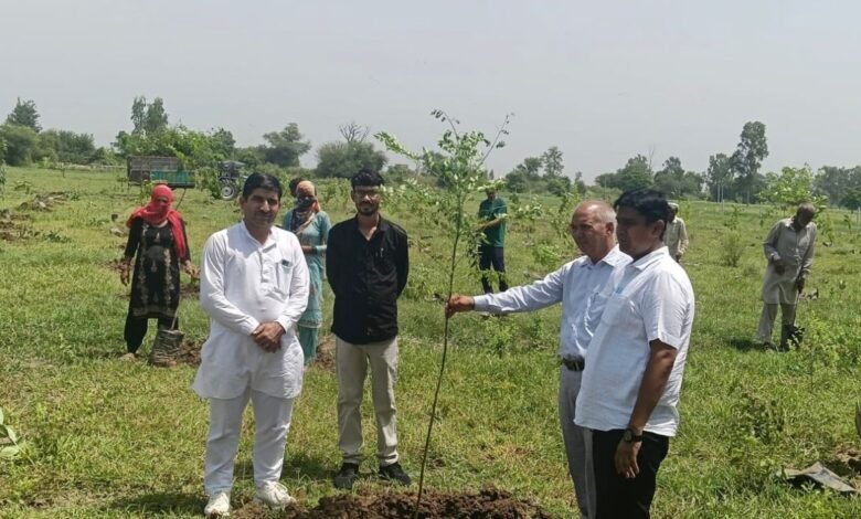 पंचायती जमीन पर बने मकान की पैमाइश रिपोर्ट देने की एवज में मांगी थी रिश्वत