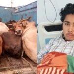 नूंह जिले में पुलिस और गौ तस्करों के बीच मुठभेड़, दो घायल