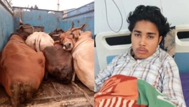 नूंह जिले में पुलिस और गौ तस्करों के बीच मुठभेड़, दो घायल